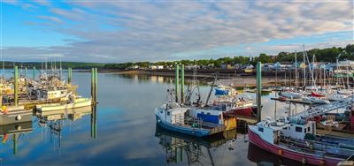 Hafen in Digby